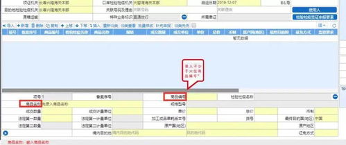 原來(lái)，報(bào)關(guān)可以這樣做 國(guó)內(nèi)貿(mào)易代理的智慧之道